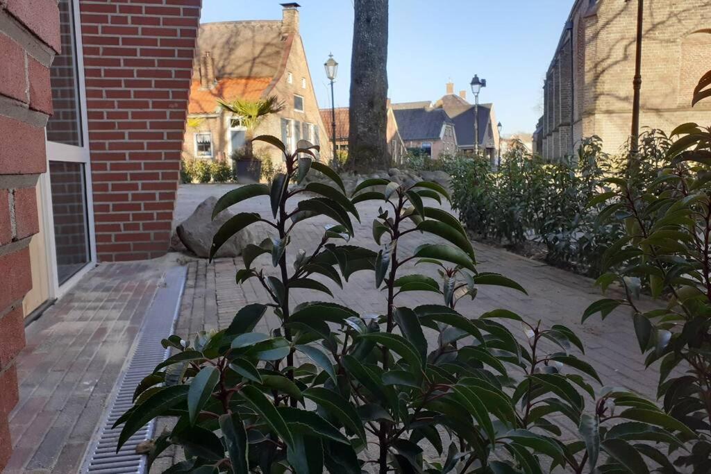 Brinkzicht Diever, Appartement Bert Exterior photo
